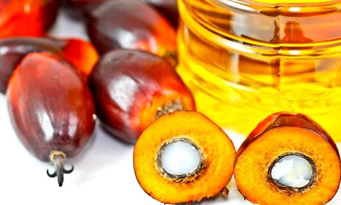 palma-fruto-aceite.jpg