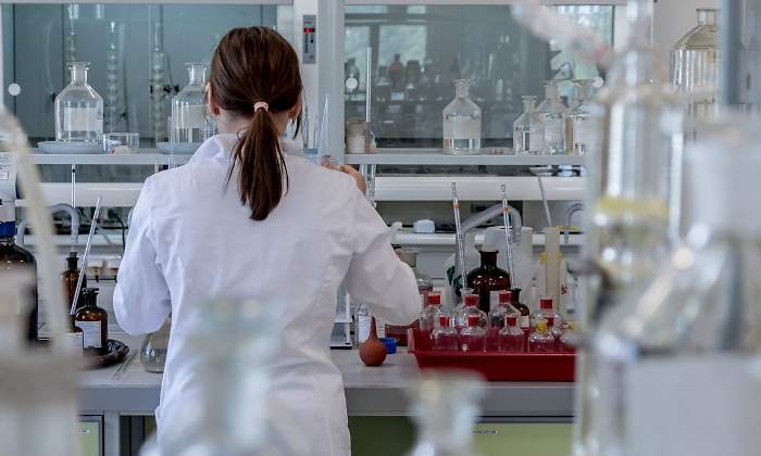 investigacion-pixabay.jpg