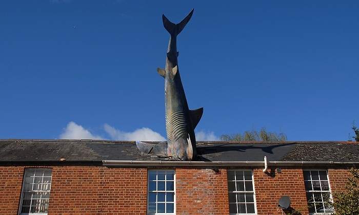 Tiburon-de-Headington-Oxford--iStock.jpg