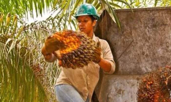 mujer palmera