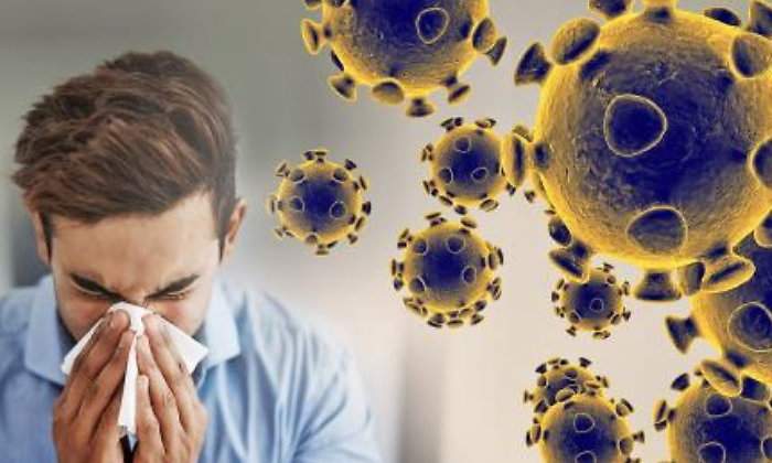 coronavirus-estilo-770.jpg