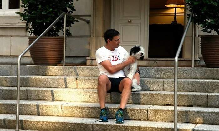 pedro-perrito770.jpg