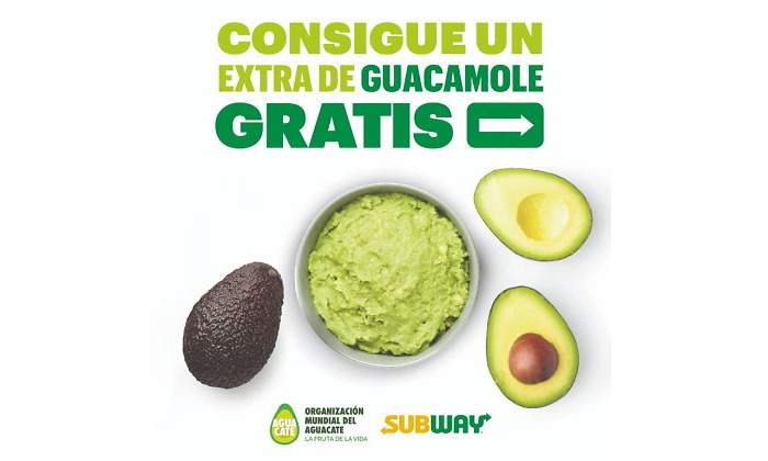 GuacamoleSubway.jpg
