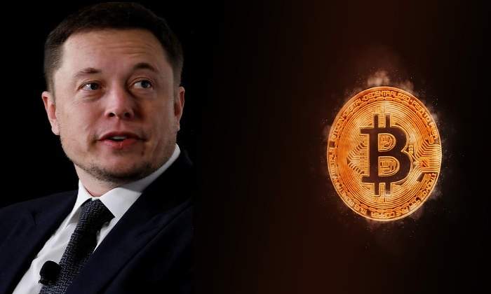 musk_bit.jpg