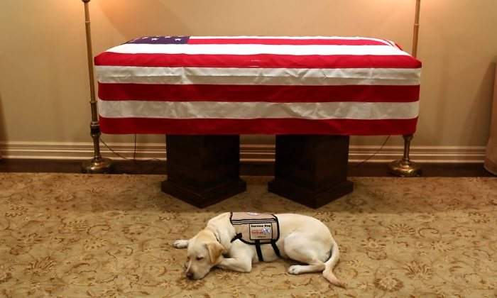 perro-bush-feretro-770.jpg