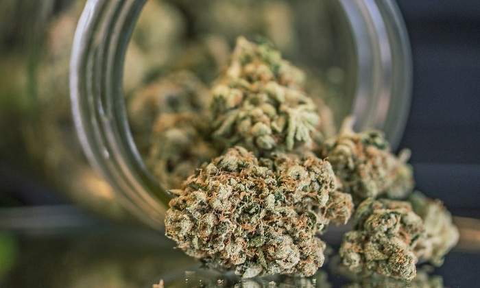 cannabis-getty.jpg