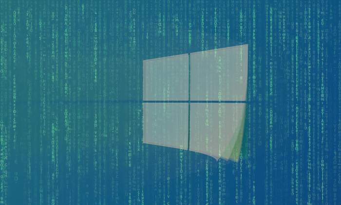 windows-virus.jpg