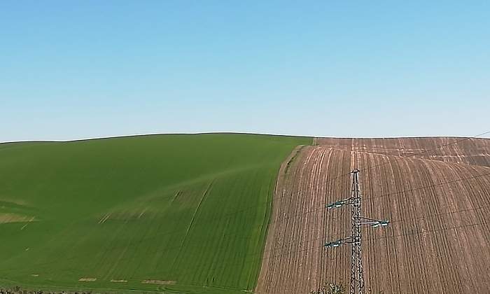 campo.jpg