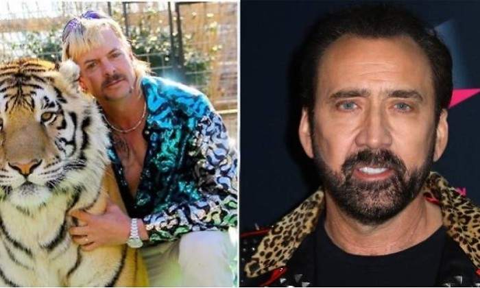 cage-tiger-king.jpg