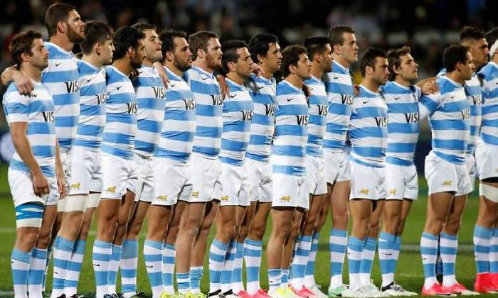 los pumas