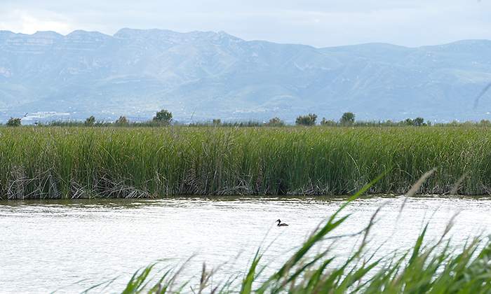 Agbar_EspMedioAmbiente1