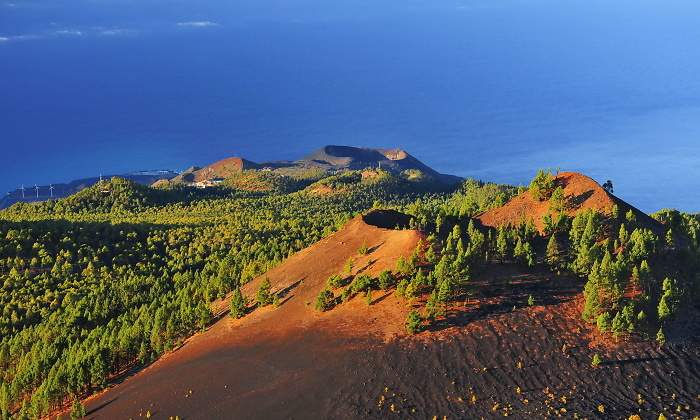 770x420-sendero-las-palmas-portada-volcanes.jpg