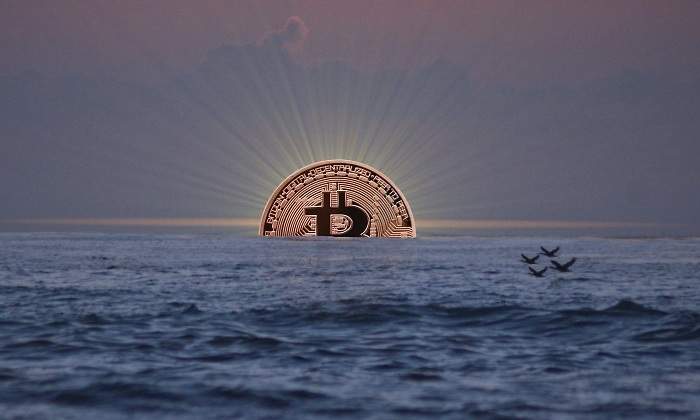 bitcoin-mar-patos.jpg