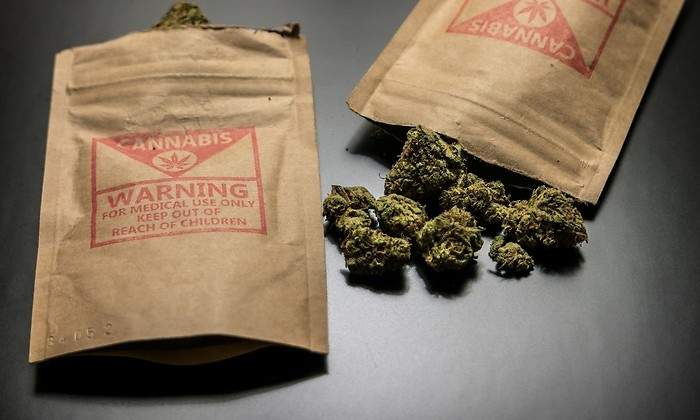 Uncanny, la plataforma de bienestar y estilo de vida del cannabis líder en el mundo