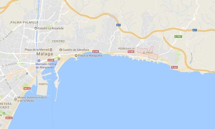 malaga-palo.jpg