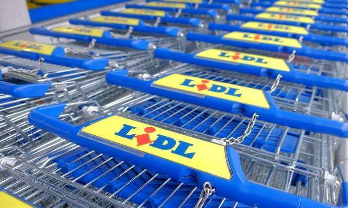 lidl-carritos-dreamstime.jpg