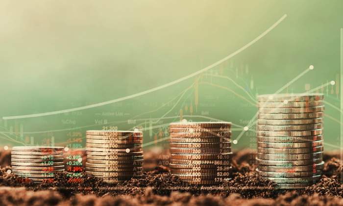 Pilas crecientes de monedas sugieren la idea de inversin en ascenso o crecimiento econmico