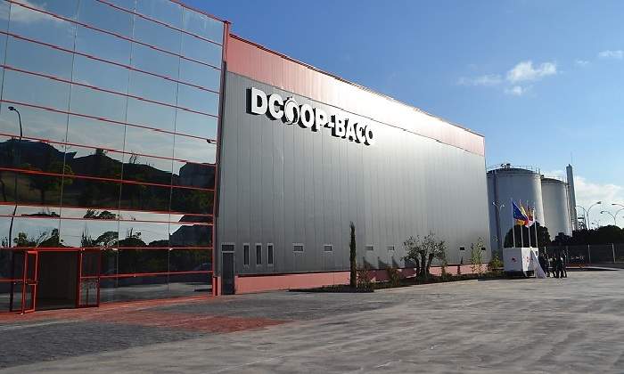 Dcoop-2.jpg