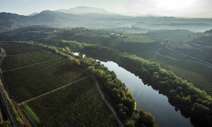 Vinedos-Rioja-Haro.png