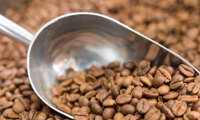 cafe-grano-recurso-dreamstime.jpg