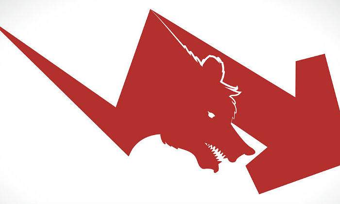 oso-flecha-roja.jpg