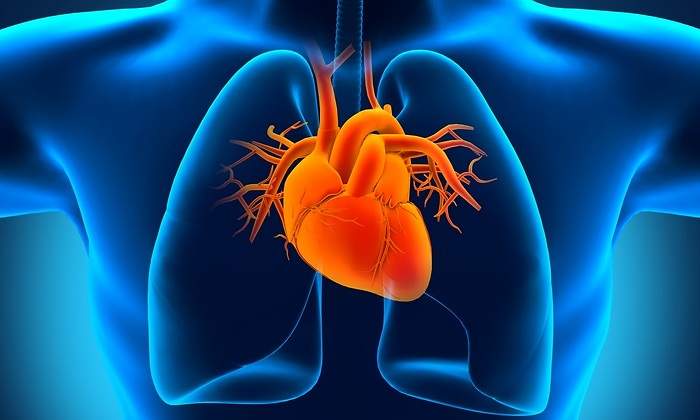 corazon-dreamstime.jpg