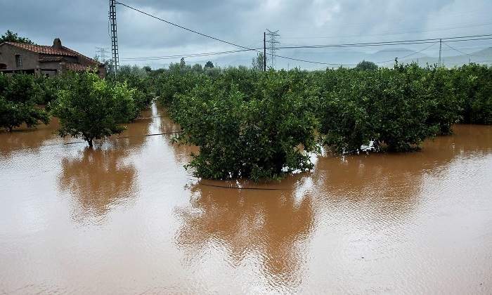temporal-castellon-efe.jpg