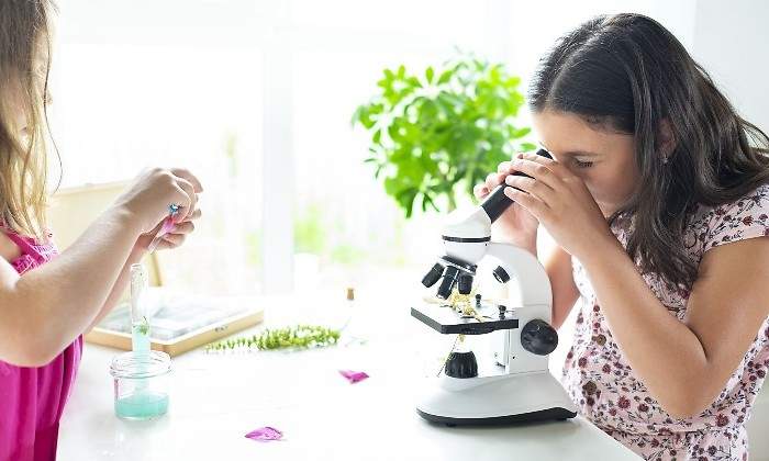 ninas-ciencia.jpg