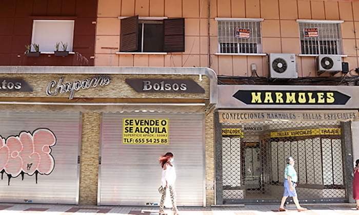 empresas-andalucia-alexzea.jpg