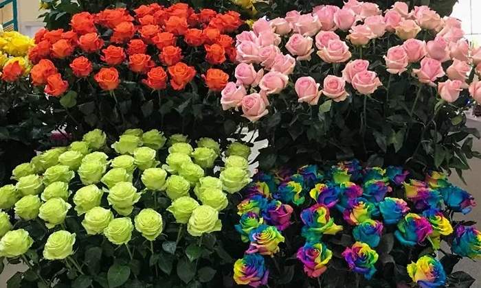 flores san valentin