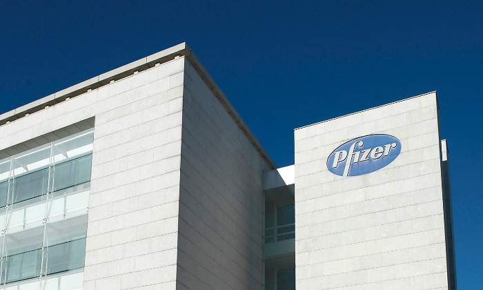 sede pfizer