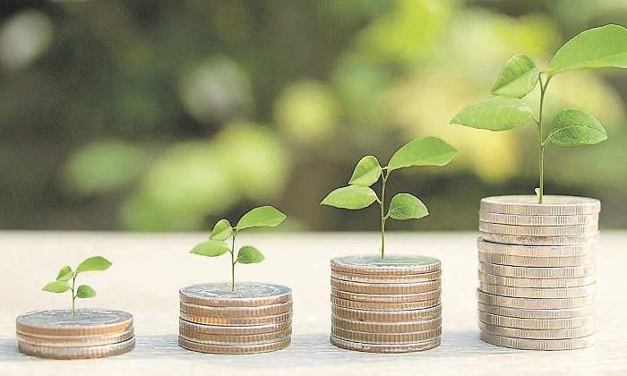 semilla-dinero-verde-crece-istock-770x420.jpg