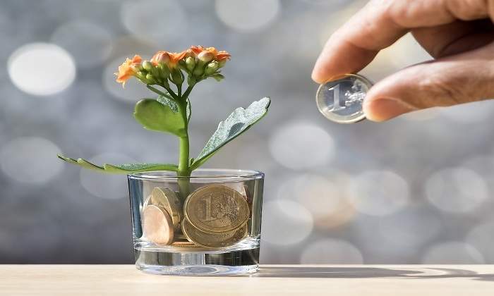 euro-flor.jpg