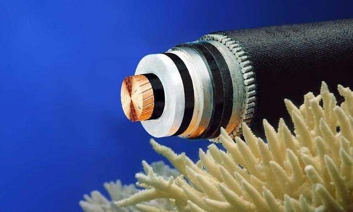 cable-fibra-mar-770.jpg
