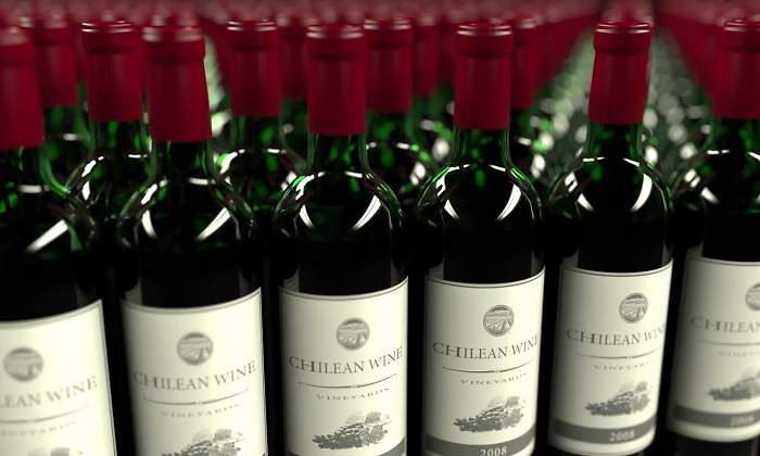 Muchas botellas de vino tinto chileno