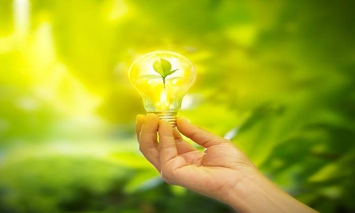 energia-verde-770x420.jpg