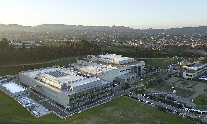boehringer.jpg