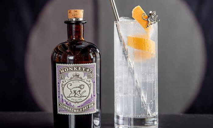 ginebra-gin-tonic-autentico.jpg