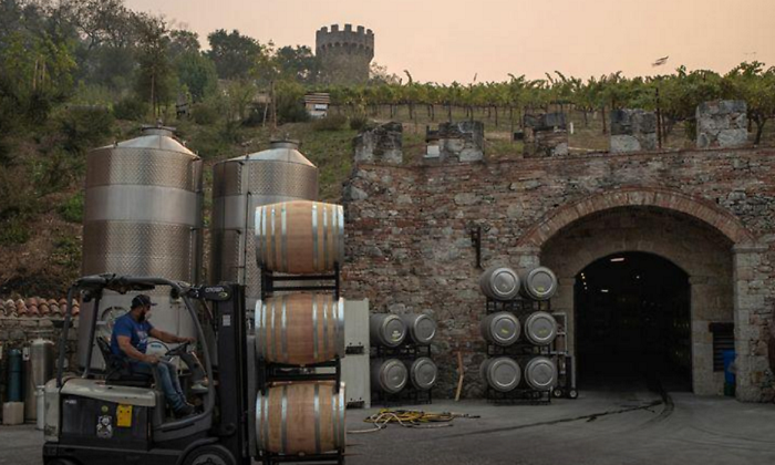 vinos-produccion-reuters.png