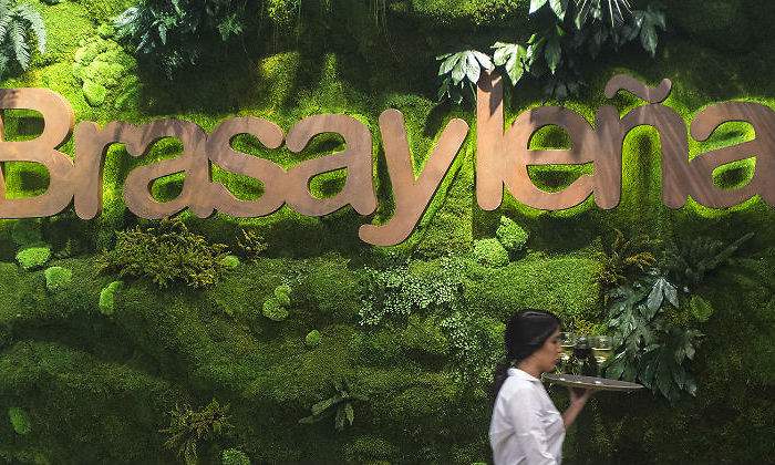 brasaylena.jpg