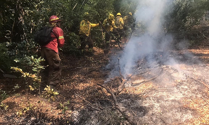 incendio-forestal-maule-efe.png