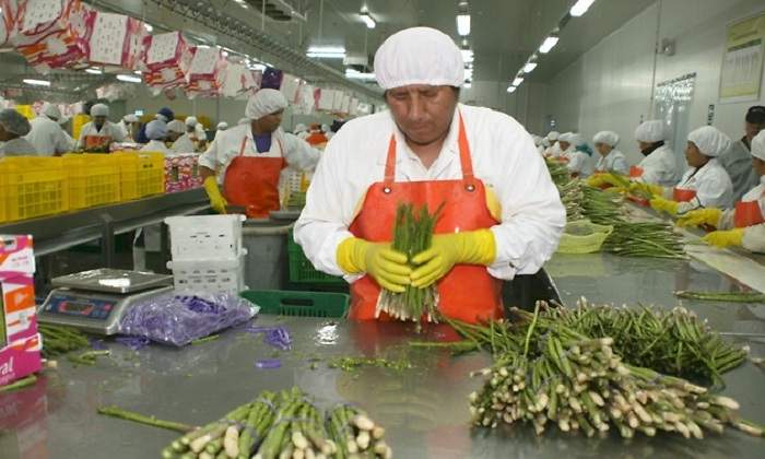 agroexpor770x420.jpg