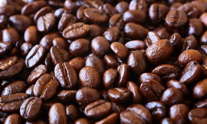 cafe.jpg