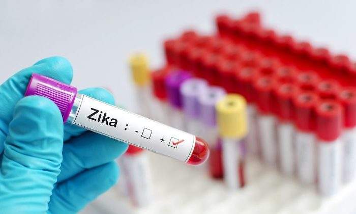 zika-virus-vacuna-dreamstime.jpg