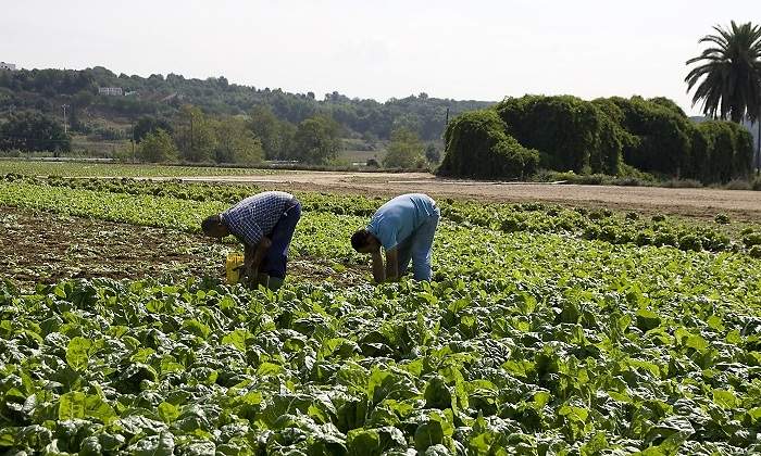 inmigracion-fundacion-lacaixa.jpg