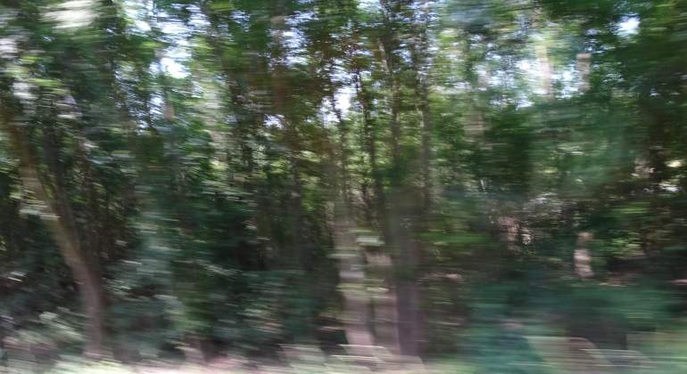 A 120 Km/h un coche necesita 120 metros para parar.