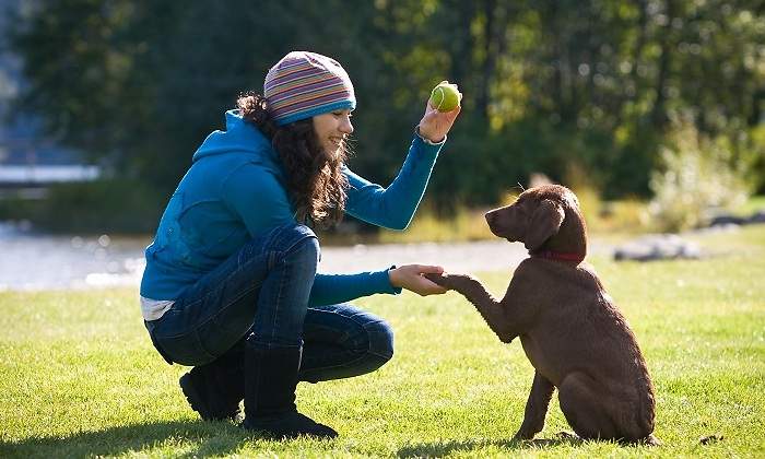 Chica-adiestrando-a-perro-iStock.jpg