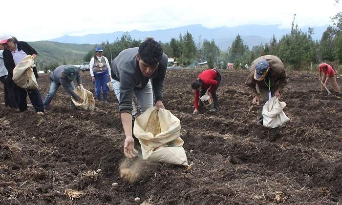 agricultura770.jpg