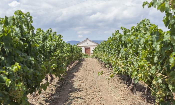 villafranca-penedes-JuanBautistaCofreces-Dreamstime.jpg