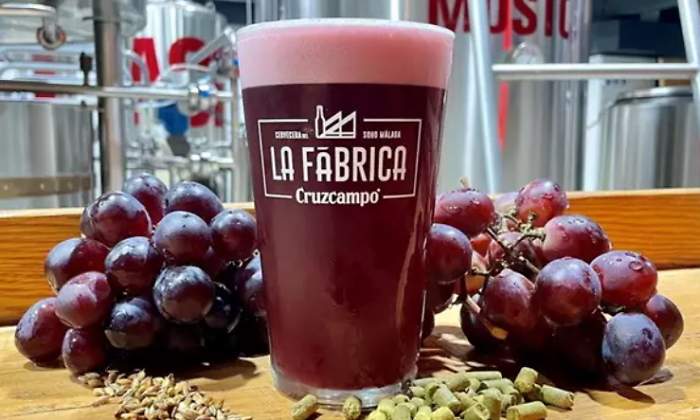 grape-beer-cerveza-vino-cruzcampo.jpg